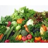 采購高性價綠色蔬菜就找神喻王，供應綠色蔬菜