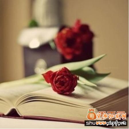 杜絕虛假宣傳中小賣家如何約束自己的行為？2