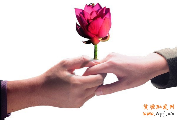 怎樣的寶貝詳情引發“網購熱”4