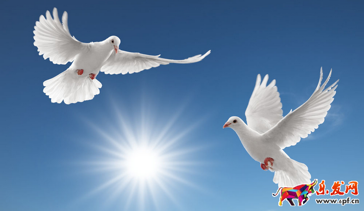 qq公眾號運營需要做好哪些準備工作