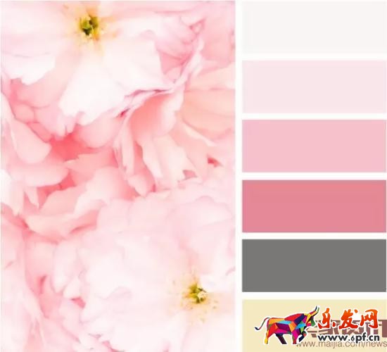 學會這些，讓你的店鋪輕松日銷80單