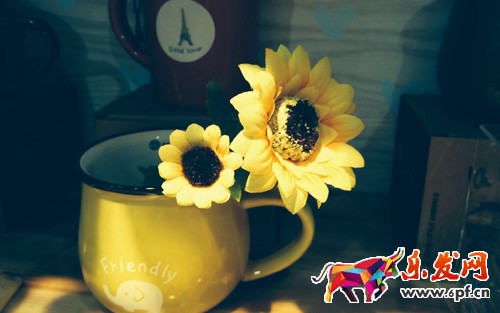 小賣家開店心得