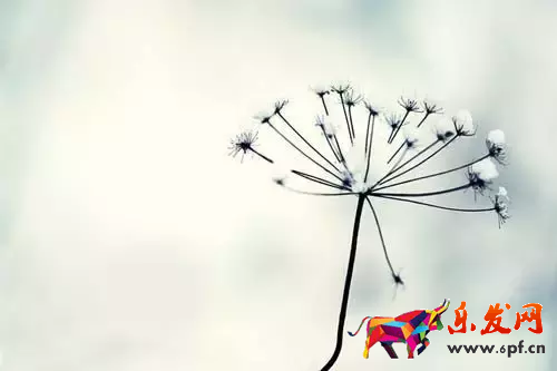 千牛開店要營業執照嗎？如何開店？