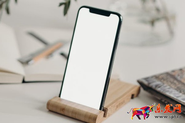 lazada入駐被拒在哪里能看到原因？怎么處理？