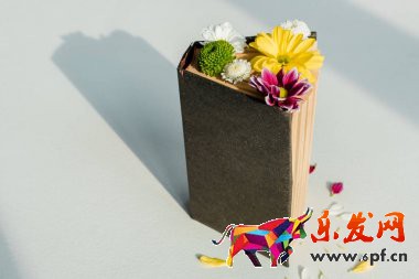 小紅書入駐費用是多少(圖4) 小紅書入駐費用是多少(圖4)