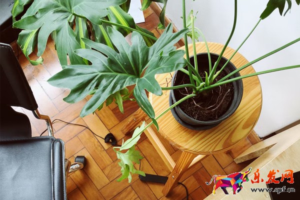 拼多多搜索關鍵詞排名怎么弄