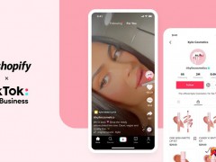 shopify獨立站需要多少錢