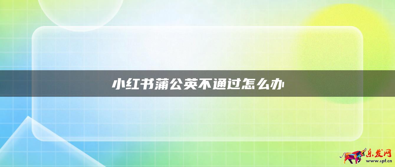 小紅書蒲公英不通過怎么辦 小紅書蒲公英不通過怎么辦